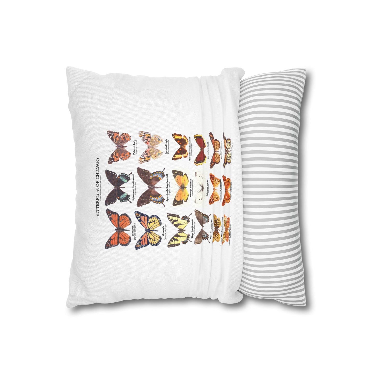Butterflies of Chicago Square Pillowcase
