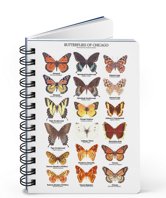 BUTTERFLIES OF CHICAGO Spiral-bound Notebook