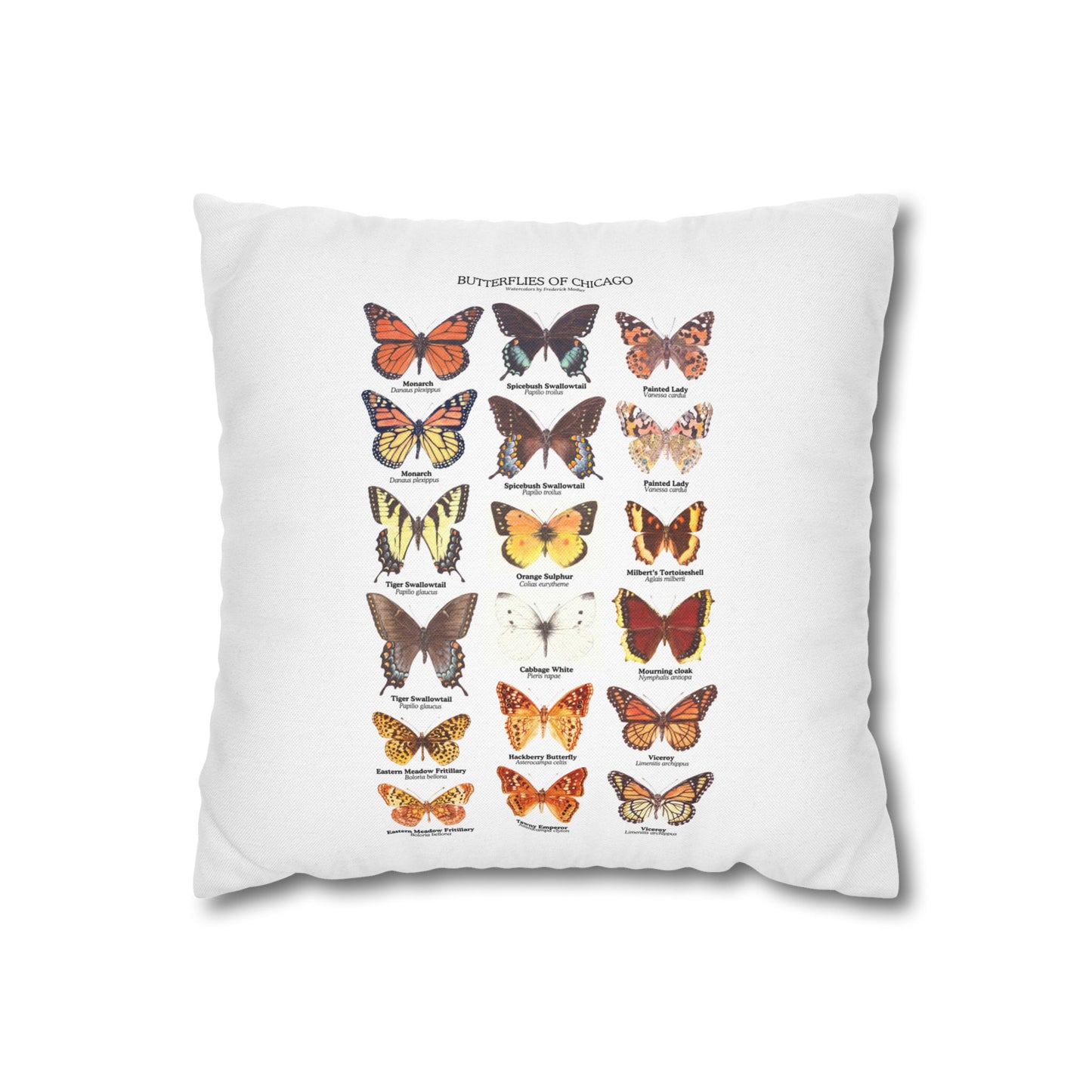 Butterflies of Chicago Square Pillowcase